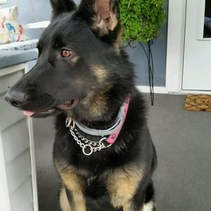 Meet your Posher, Sean